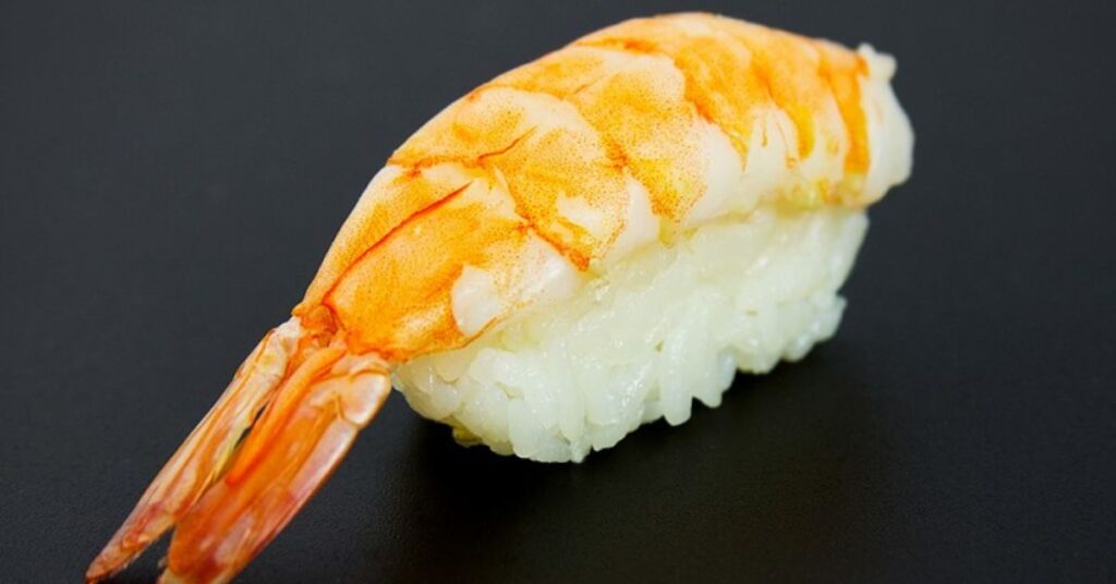 Nigiri Sushi Recipes
